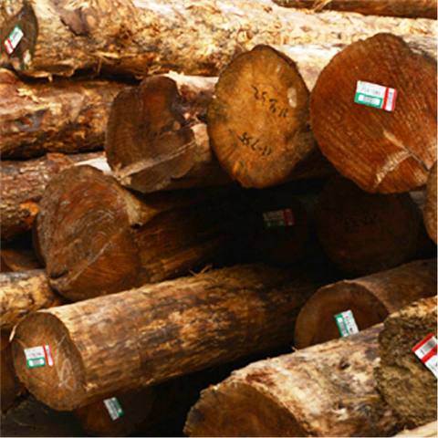 方木批發廠家淺談我們如何保護建筑免受損壞？